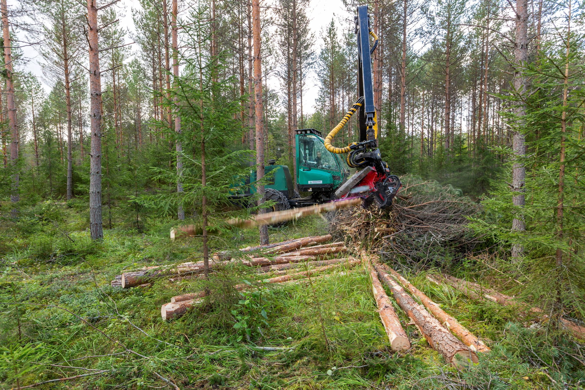 Puunkorjuu metsänhoitoyhdistyksessä