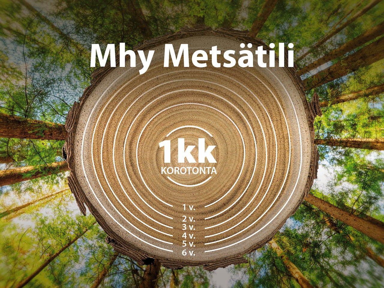 Metsätili