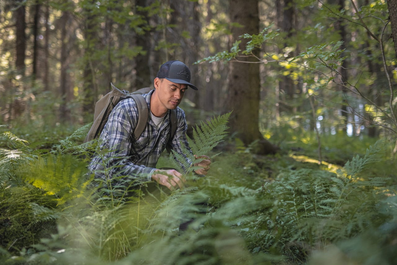 Metsänhoitoyhdistysten valtuustoissa pääsee vaikuttamaan oman alueen metsätalouteen