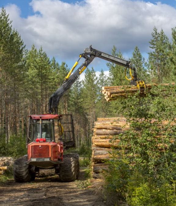 Puukauppa käy korkeilla kierroksilla