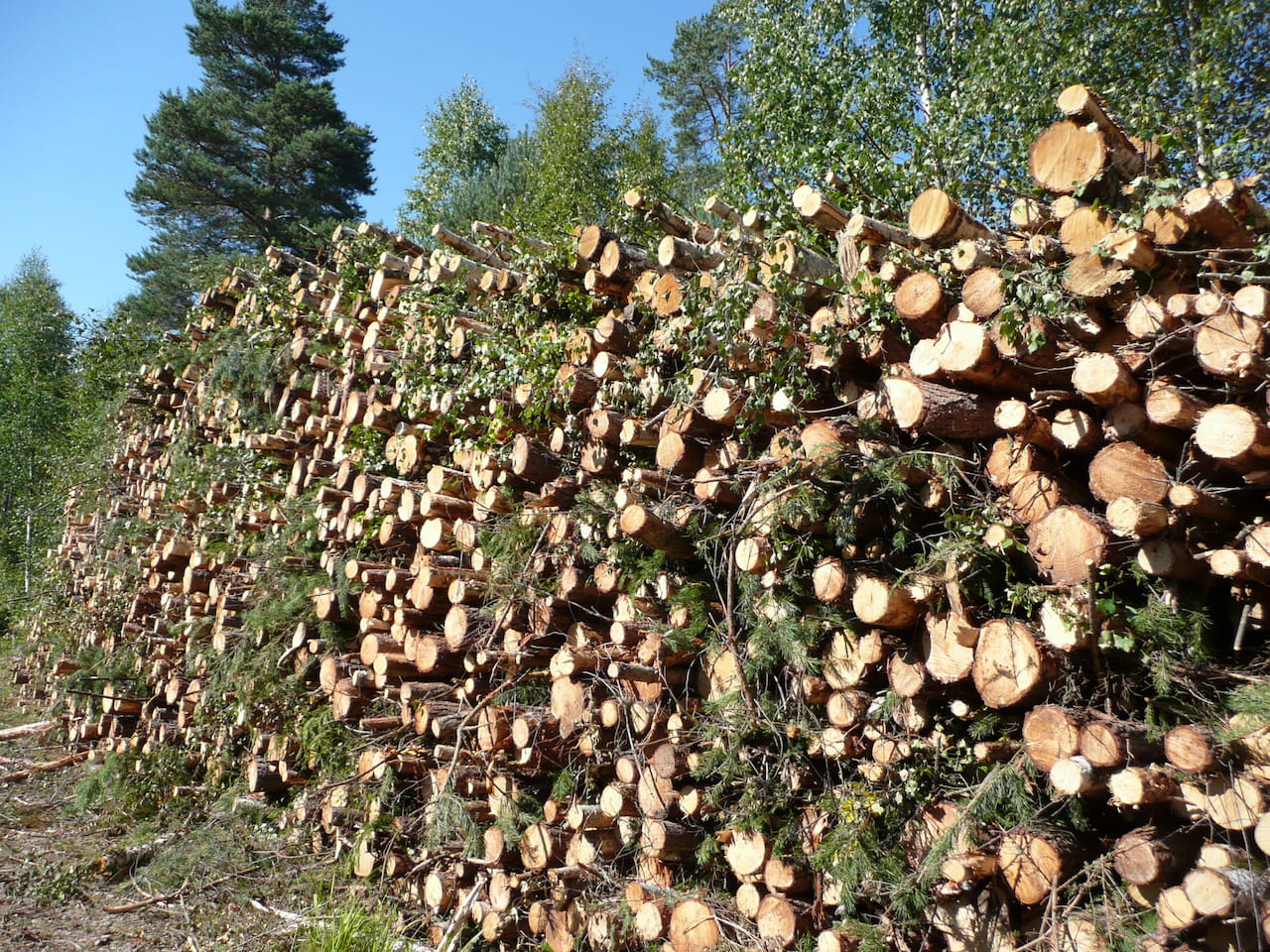 Metsäenergian myyjät