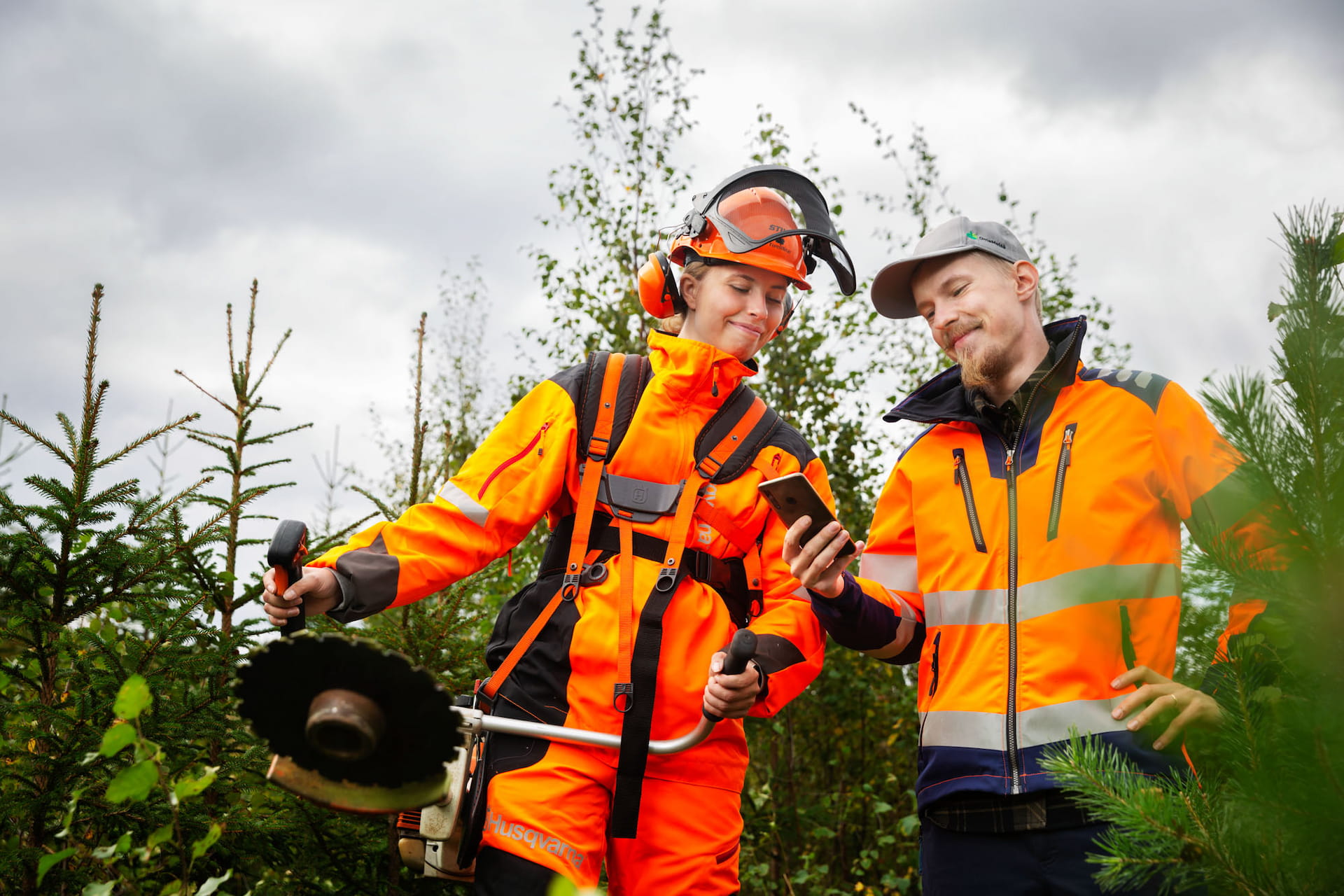 Laadukkaat metsä- ja asiantuntijapalvelut jäsenetuhintaan