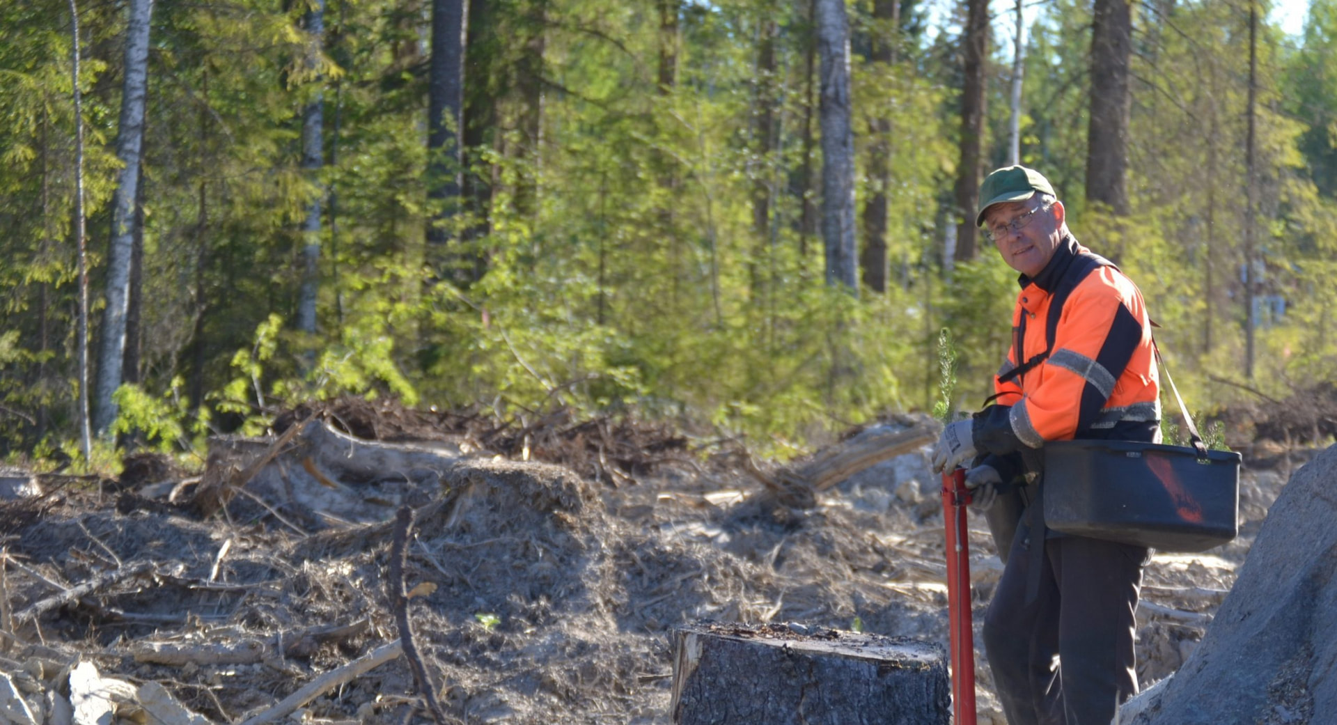 Metsänhoitoyhdistyksestä vinkit metsän istutukseen